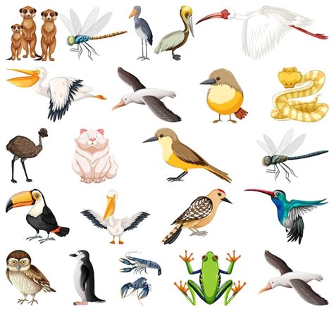 air animals drawing|Flying animals Vectors & Illustrations for Free Download .